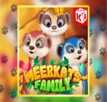 Meerkat’s Family