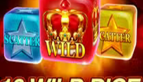 10 Wild Dice