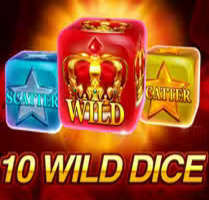 10 Wild Dice
