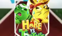 Hare vs Tortoise