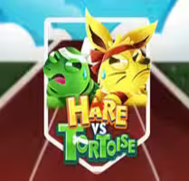 Hare vs Tortoise