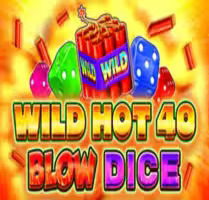 Wild Hot 40 Blow Dice