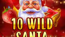 10 Wild Santa