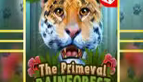Primeval Rainforest