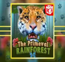 Primeval Rainforest