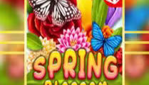 Spring Blossom