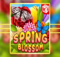 Spring Blossom