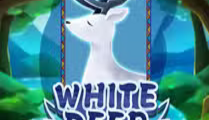 White Deer