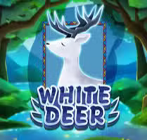 White Deer