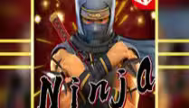 Ninja
