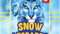 Snow Leopards