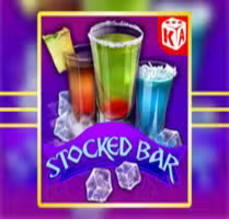 Stocked Bar