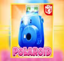 Polaroid