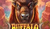 Buffalo Gold Canyon