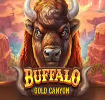 Buffalo Gold Canyon
