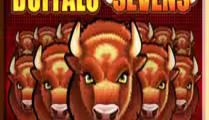 Buffalo Sevens