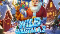 Wild Christmas
