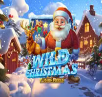 Wild Christmas