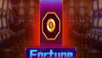 Fortune Code