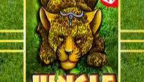 Jungle