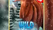 Wild Alaska