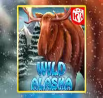 Wild Alaska