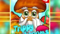 Trippy Mushrooms