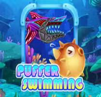 Puffer Swimming