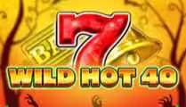 Wild Hot 40 Halloween