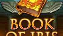 Book of Ibis