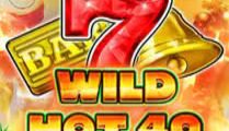 Wild Hot 40 Christmas