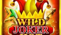 Wild Joker Hot