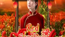 Red Sorghum