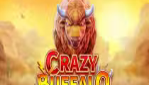 Crazy Buffalo