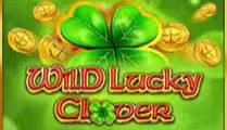 Wild Lucky Clover