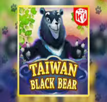 Taiwan Black Bear