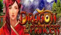 Dragon of the Princess
