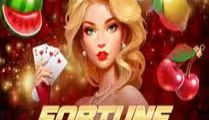 Fortune Christmas Wild