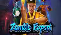 Zombie Expert Lock 2 Spin