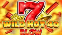 Wild Hot 40 Blow