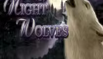 Night Wolves