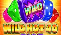 Wild Hot 40 Dice