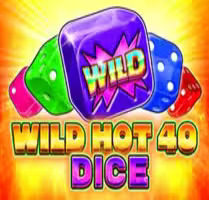 Wild Hot 40 Dice