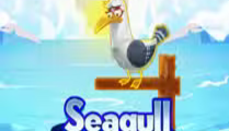 Seagull