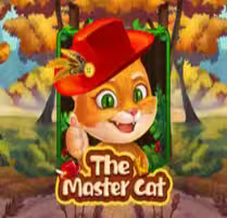 The Master Cat