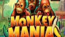 Monkey Mania