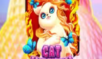 Cat Museum