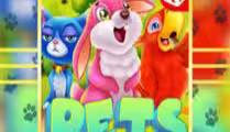 Pets