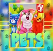 Pets