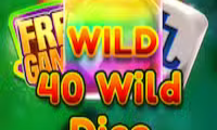 40 Wild Dice